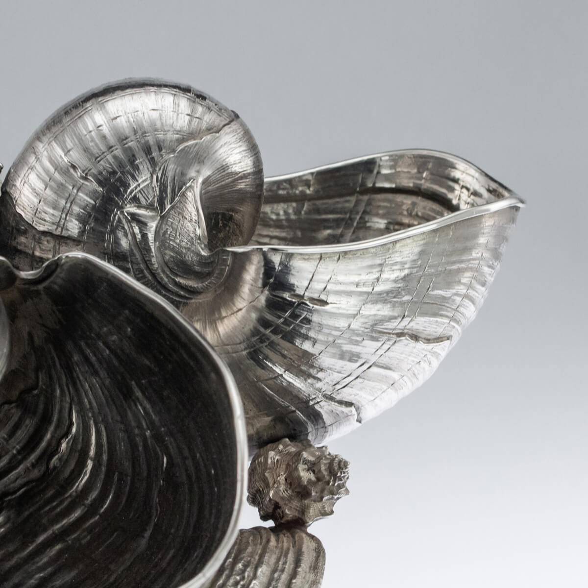 Nautilus Shell Sterling Silver Centrepiece, Buccellati, Italy – Mid 20 –  Joseph Cohen Antiques